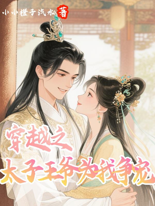 穿越之太子王爷为我争宠